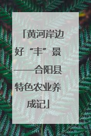 黄河岸边好“丰”景——合阳县特色农业养成记